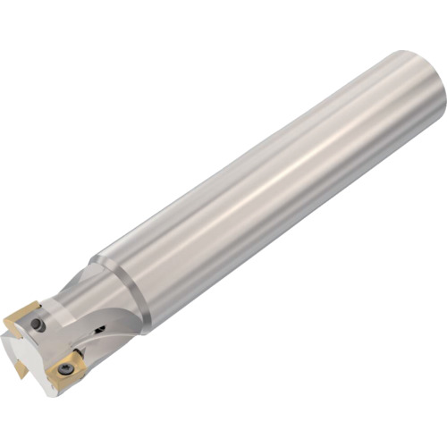 セコ フライス ターボミル カッター [R217.69-3232.0-12-3AN] R217.693232.0123AN 販売単位：1 送料無料