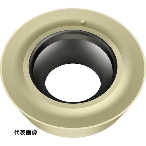 皆既月食を見よう