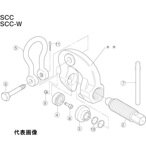 皆既月食を見よう