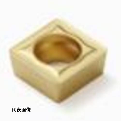 皆既月食を見よう