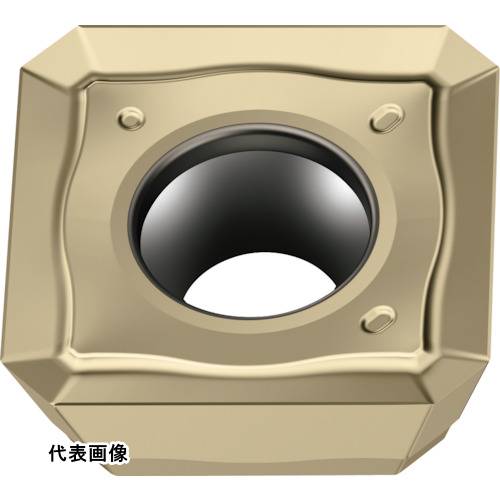 皆既月食を見よう