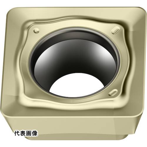 皆既月食を見よう