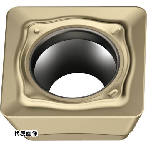 皆既月食を見よう