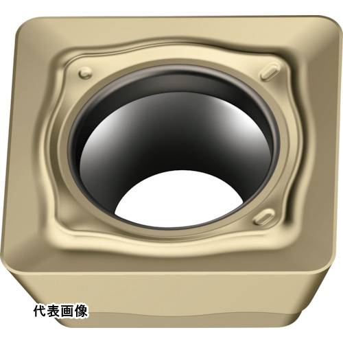 皆既月食を見よう
