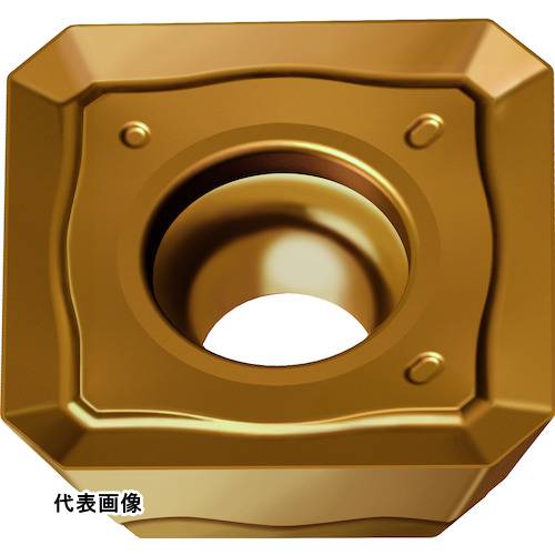 Walter ミーリング加工用 正方形ポジチップ WSM45X [SDMT09T3AZN-F57 WSM45X] SDMT09T3AZNF57 10セット 送料無料