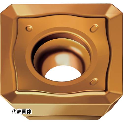 皆既月食を見よう