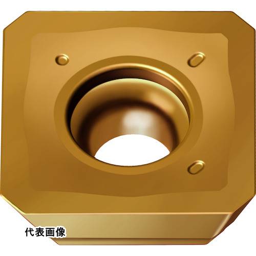 皆既月食を見よう