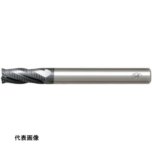 皆既月食を見よう