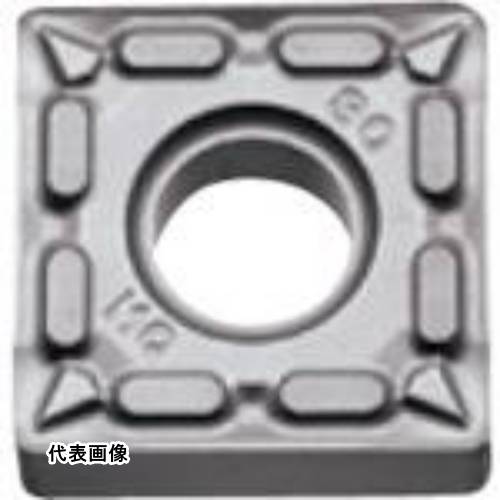 皆既月食を見よう