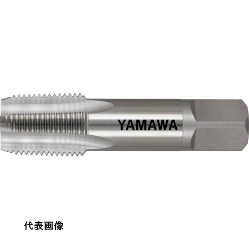 皆既月食を見よう