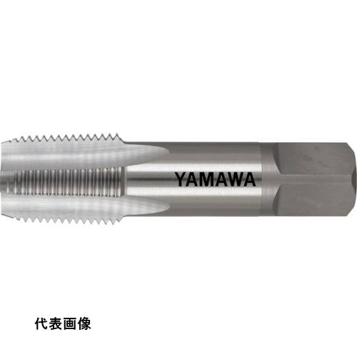 皆既月食を見よう