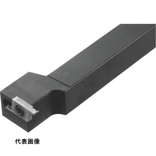 皆既月食を見よう