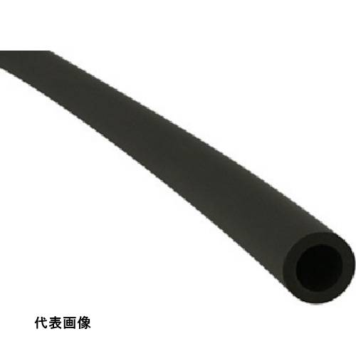 皆既月食を見よう