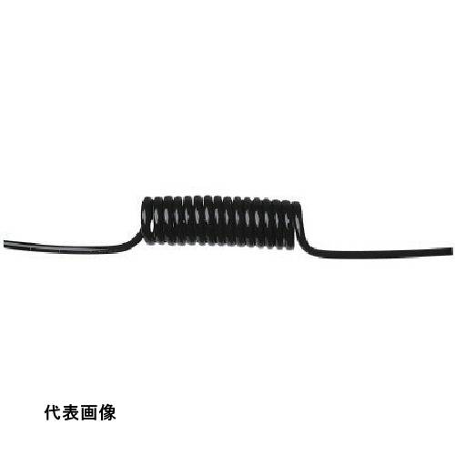 皆既月食を見よう