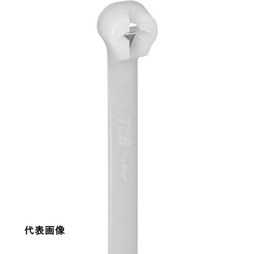 皆既月食を見よう
