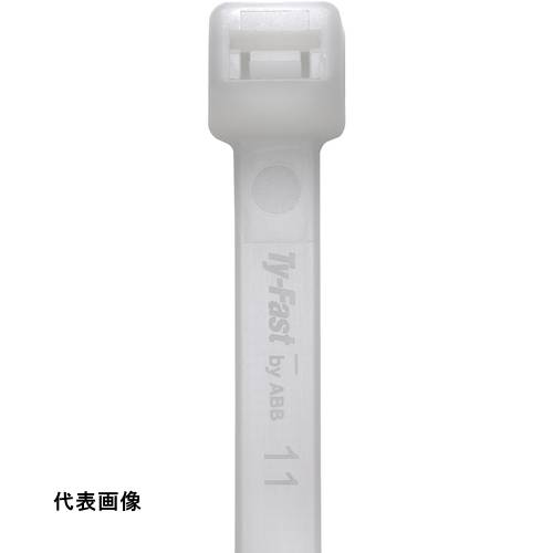 皆既月食を見よう