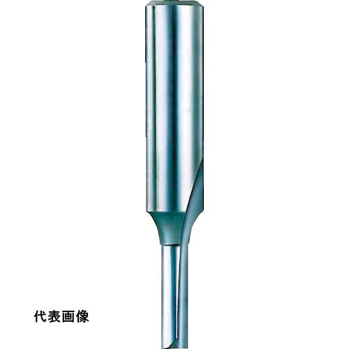 皆既月食を見よう