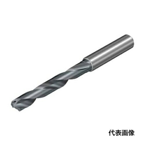 皆既月食を見よう