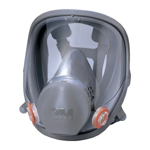 3M 防毒マスク全面形面体 6000F Lサイズ [6000F L] 販売単位：1 送料無料｜ルーペスタジオ