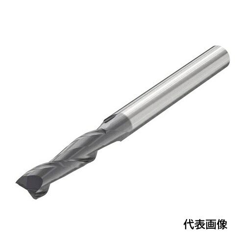 皆既月食を見よう