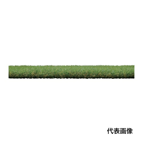 皆既月食を見よう ガーデニング・農業-花・ガーデン・DIY