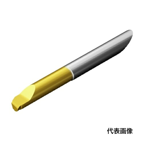 皆既月食を見よう