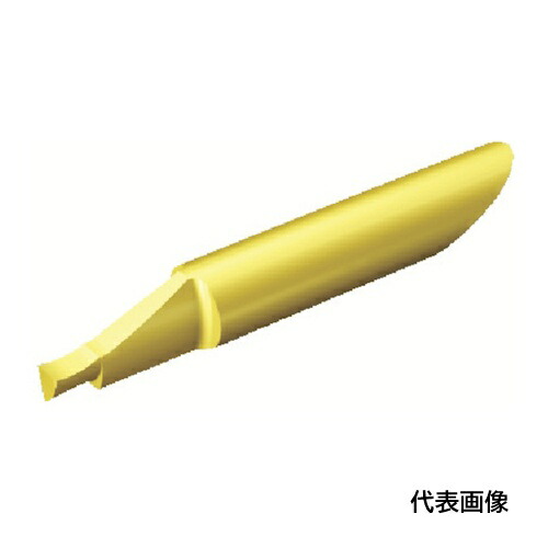 皆既月食を見よう