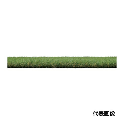 皆既月食を見よう
