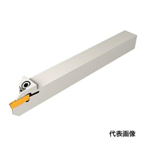 皆既月食を見よう