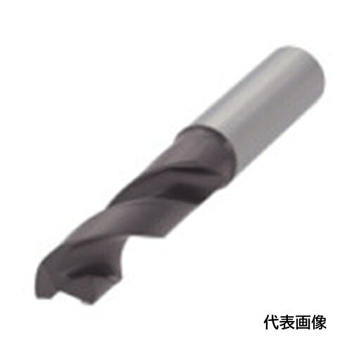 皆既月食を見よう
