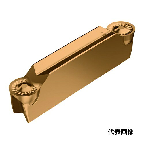 皆既月食を見よう