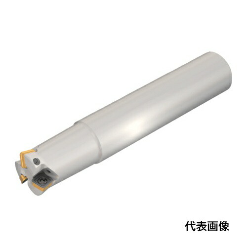 皆既月食を見よう