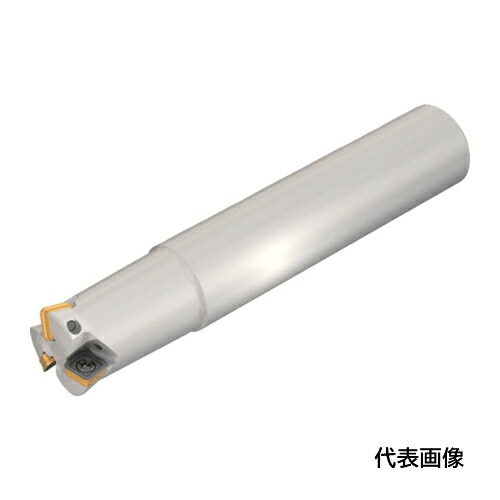 皆既月食を見よう