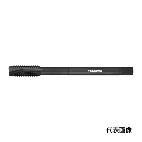 皆既月食を見よう