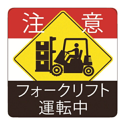 皆既月食を見よう