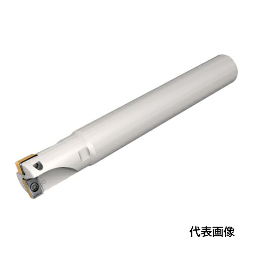 皆既月食を見よう