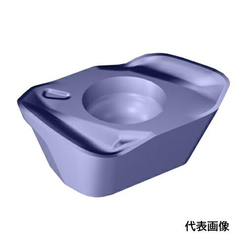 皆既月食を見よう