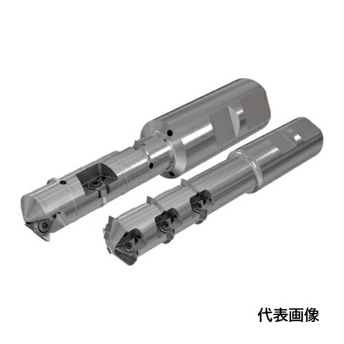 皆既月食を見よう