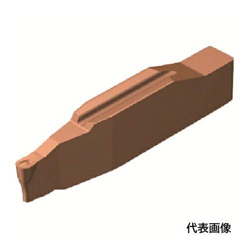 皆既月食を見よう