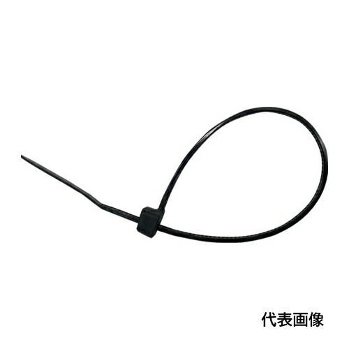 皆既月食を見よう