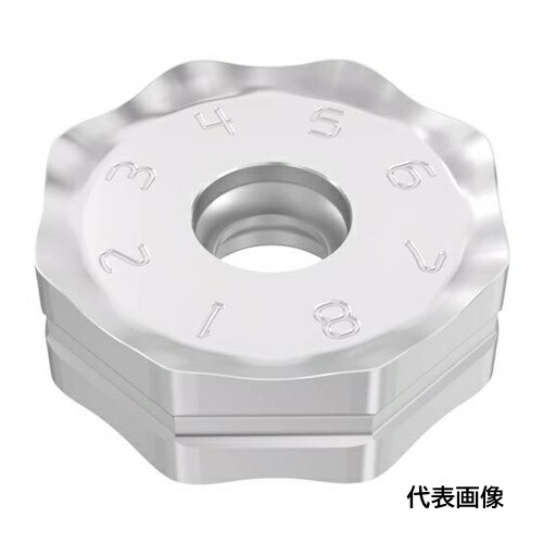 皆既月食を見よう