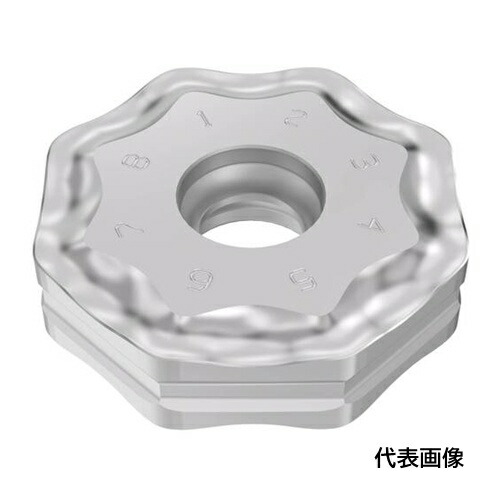 皆既月食を見よう