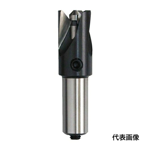 WEBA カウンターシンク No.P19090-0 90°3枚刃 HSS パイプ内面・外面専用 φ16 [P19090-0-16.0] P19090016.0 販売単位：1 送料無料