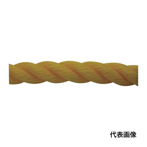 皆既月食を見よう