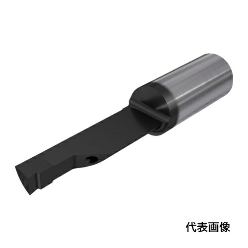 皆既月食を見よう