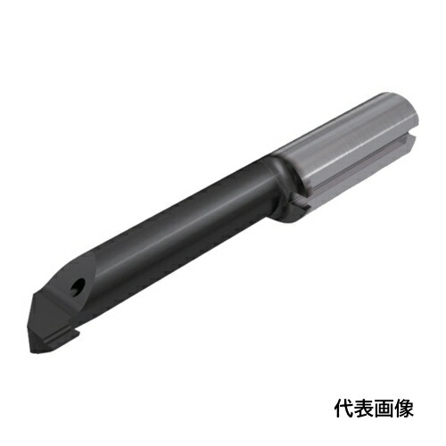 皆既月食を見よう