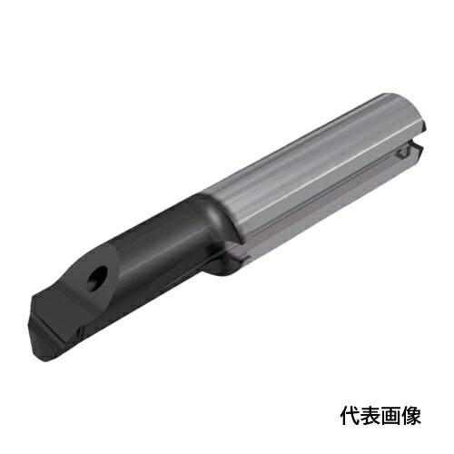 皆既月食を見よう