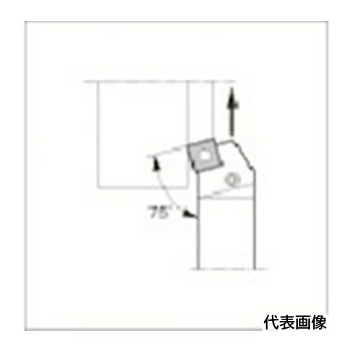 皆既月食を見よう