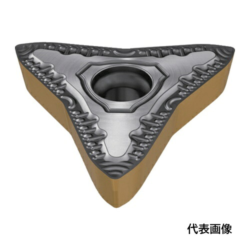皆既月食を見よう