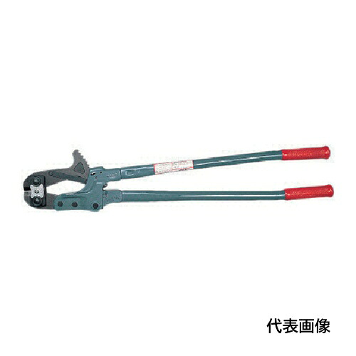 皆既月食を見よう